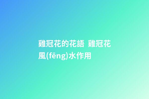 雞冠花的花語  雞冠花風(fēng)水作用